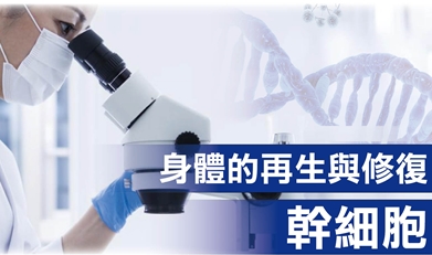 身體的再生與修復 幹細胞